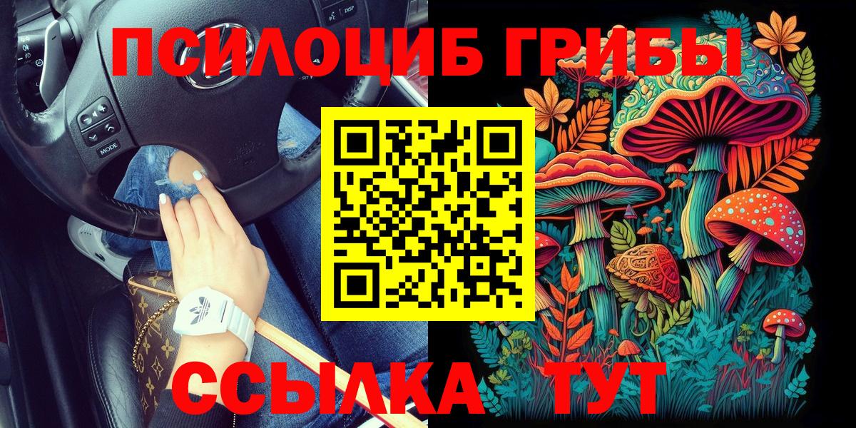 Псилоцибиновые грибы мицелий Владивосток